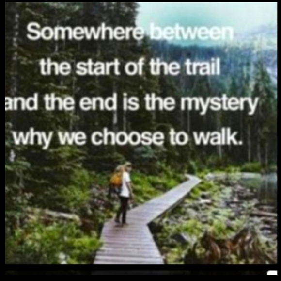 ⚜️Gauze Blue Roses on Tobacco Brown Dress  Sz  LG - Picture 13 of 15